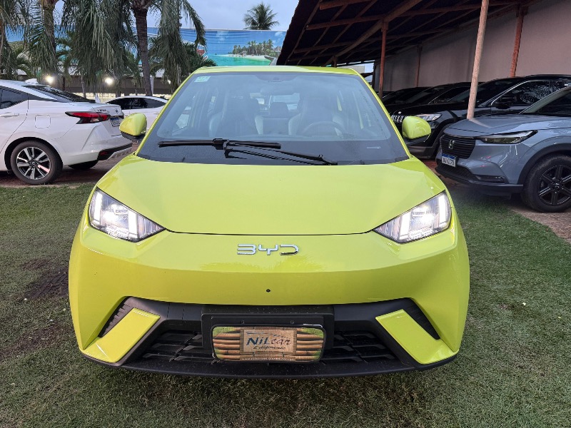 BYD Dolphin